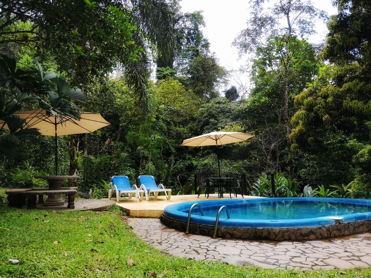 Casa Cedro - Portasol Vacation Rentals Matapalo  Экстерьер фото